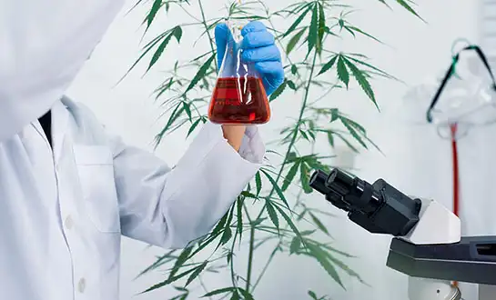 Organic Plant Growth Promoters: Transforming Modern Farming